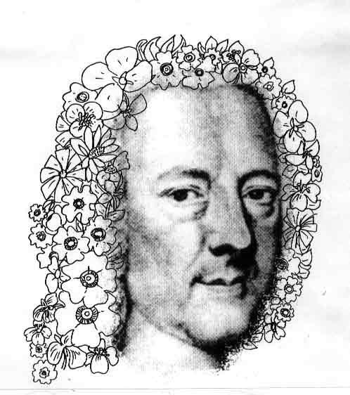 Telemann Blumenkopf